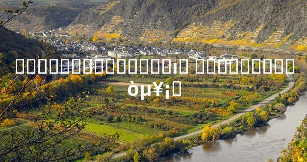 �����Ȱ��������ı� ������ʵ��